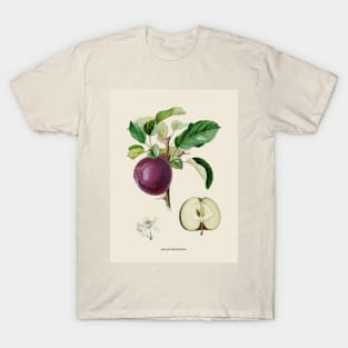 Apple Antique Botanical Illustration T-Shirt